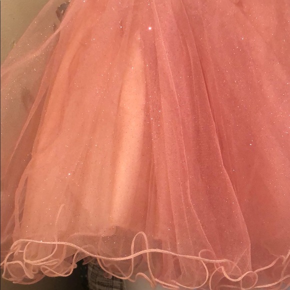 Rose Gold Tutu 12” waist - Picture 4 of 6
